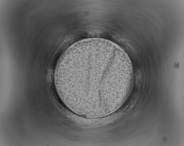 X0000097990038200804211116