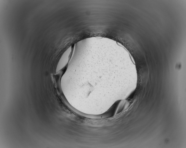 X0000097990041200804211116