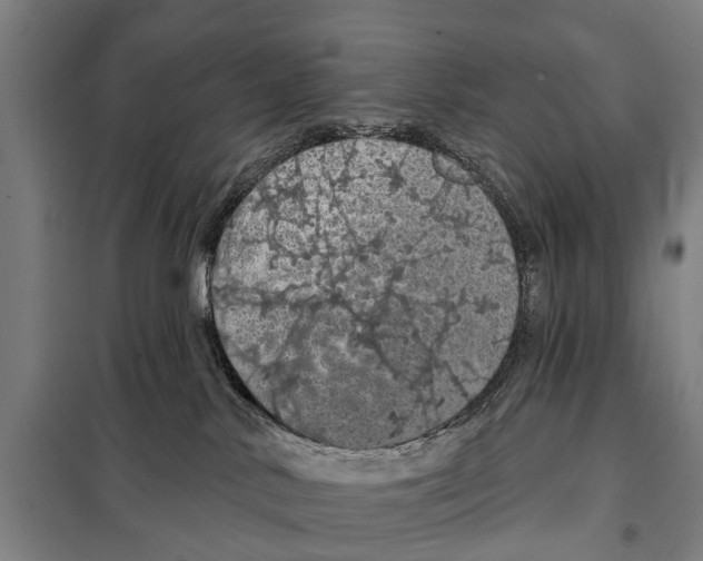 X0000097990042200804211116