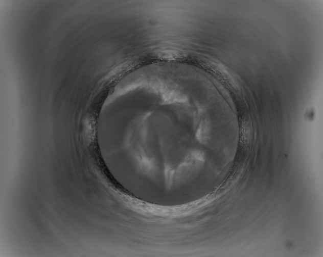 X0000097990043200804211116