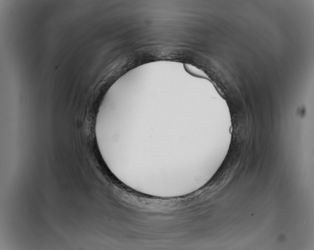 X0000097990044200804211116