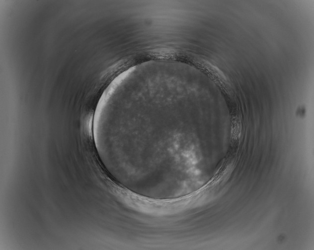 X0000097990047200804211116