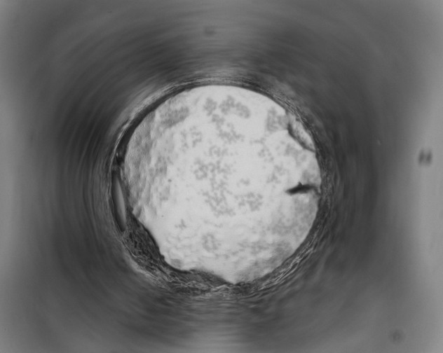 X0000097990050200804211115