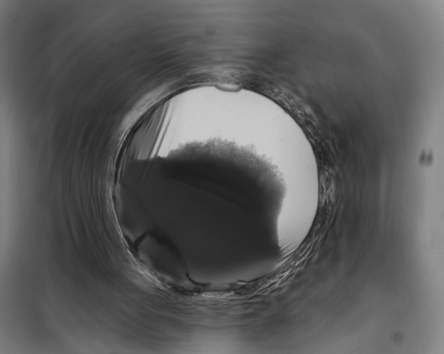 X0000097990051200804211115