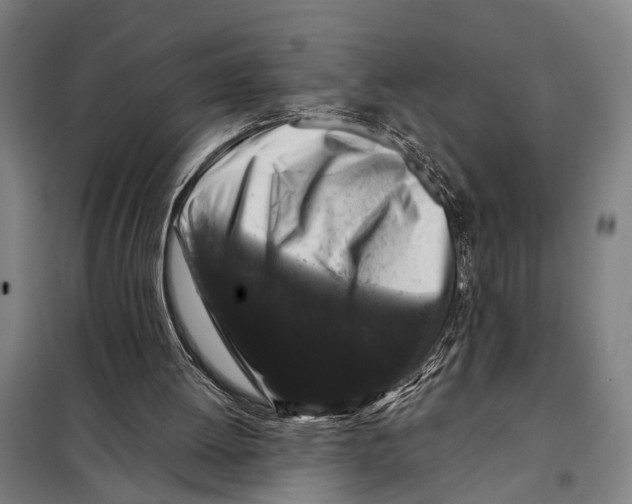 X0000097990052200804211115