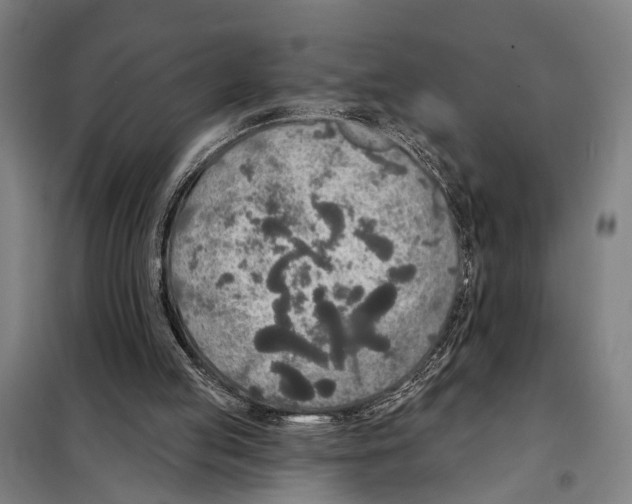 X0000097990053200804211115