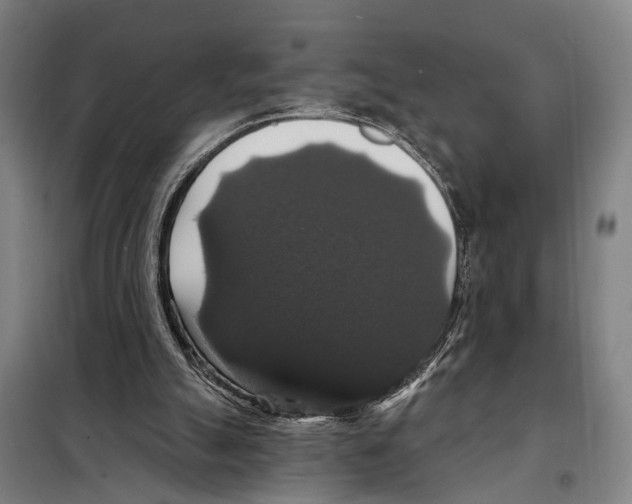 X0000097990055200804211115