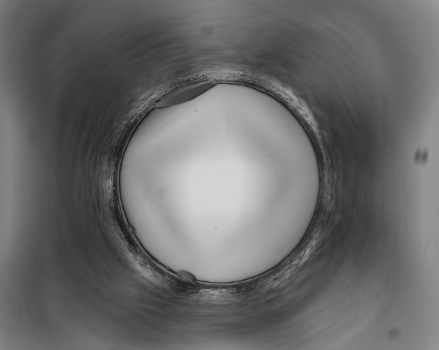 X0000097990057200804211115