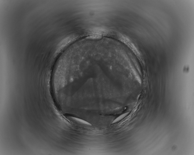 X0000097990058200804211115