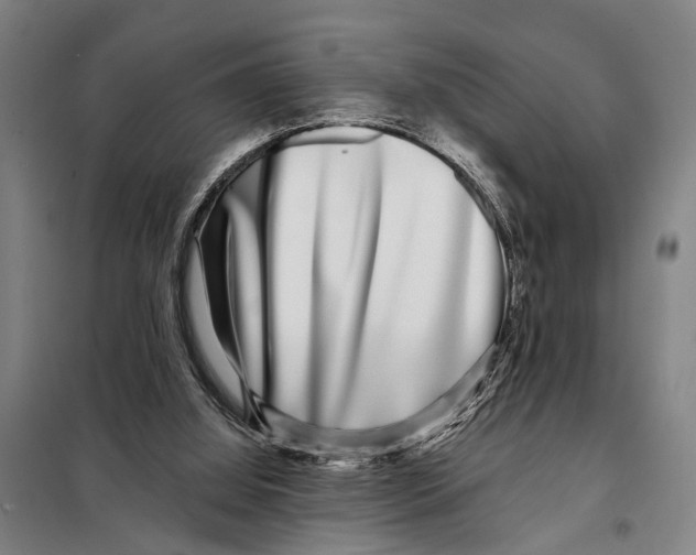 X0000097990060200804211115