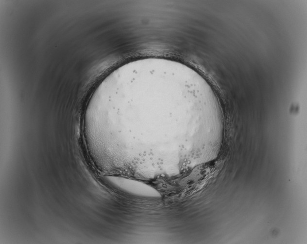 X0000097990062200804211115