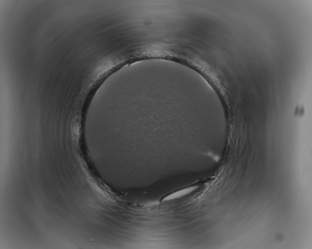 X0000097990063200804211115