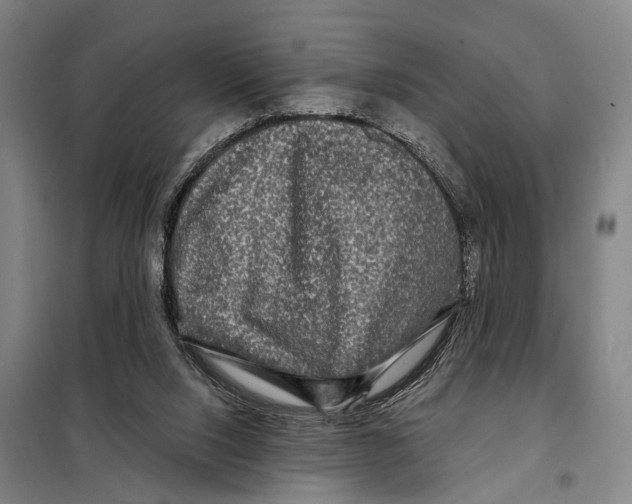 X0000097990064200804211115