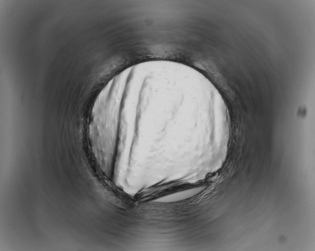 X0000097990066200804211115