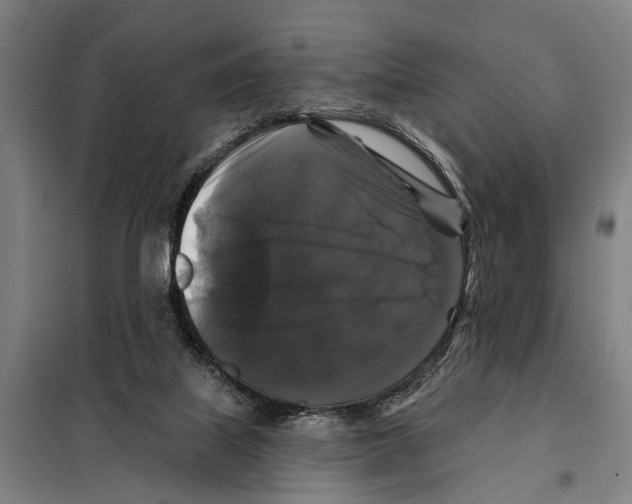 X0000097990067200804211115