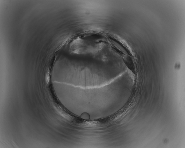 X0000097990069200804211115