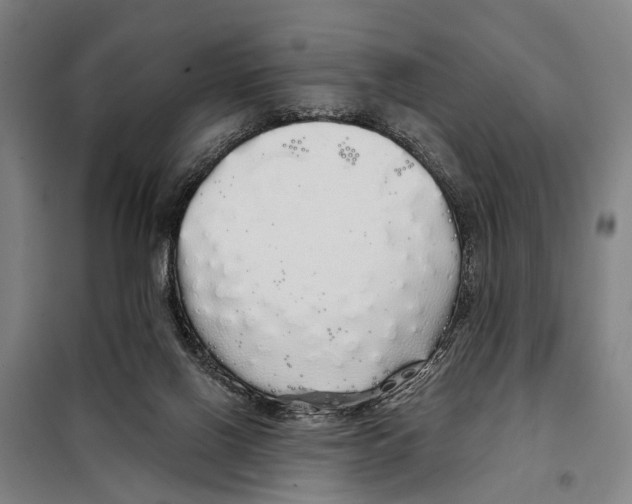 X0000097990070200804211115