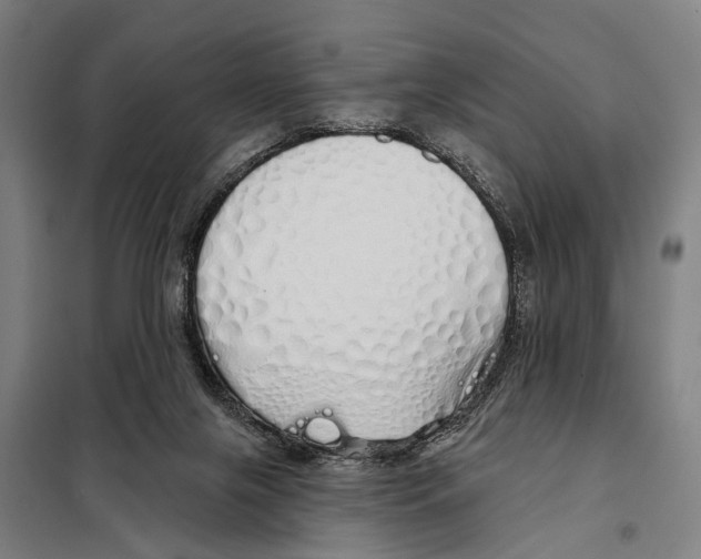 X0000097990071200804211115