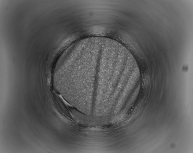 X0000097990072200804211115