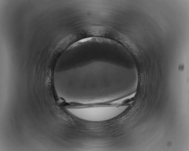 X0000097990073200804211115