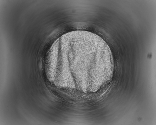 X0000097990074200804211115