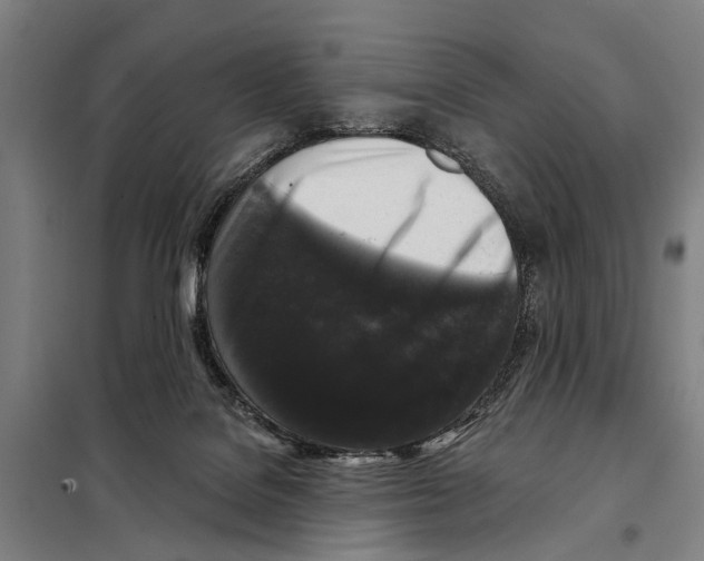 X0000097990076200804211115