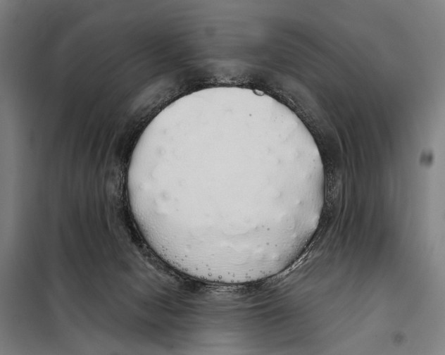 X0000097990078200804211115