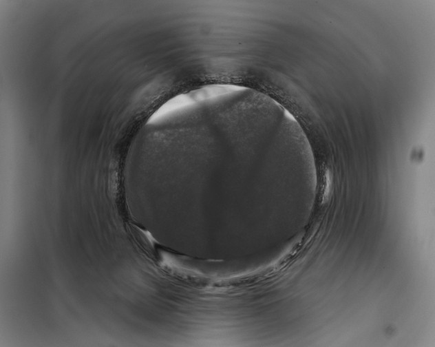 X0000097990080200804211115