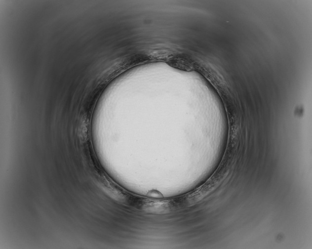 X0000097990081200804211115