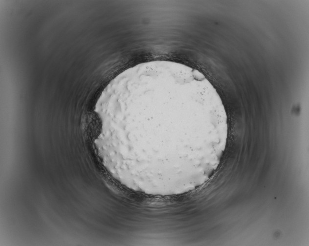 X0000097990082200804211115