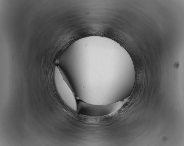 X0000097990084200804211115