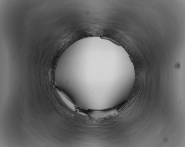 X0000097990088200804211116