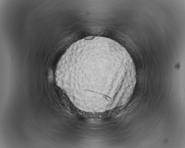 X0000097990089200804211116