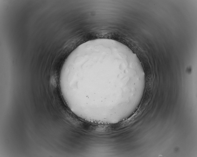 X0000097990090200804211116