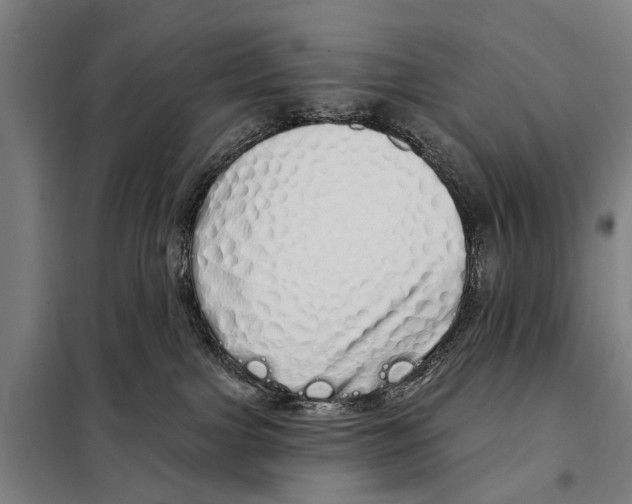 X0000097990091200804211116