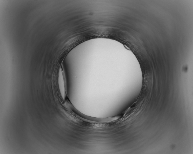 X0000097990092200804211116