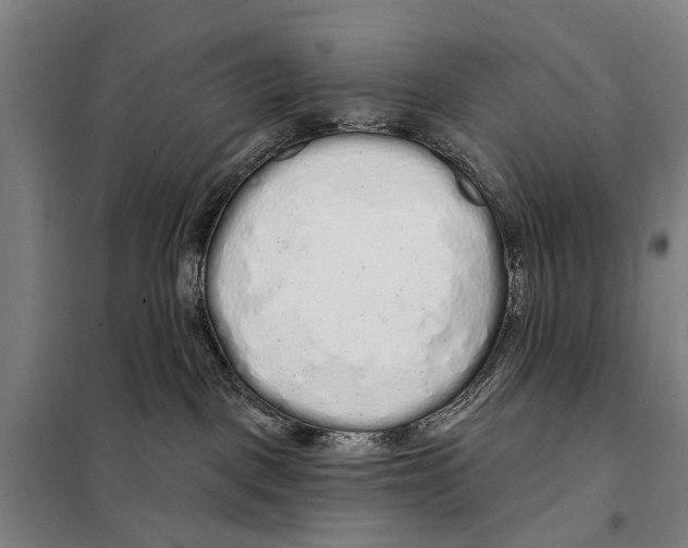 X0000097990093200804211116