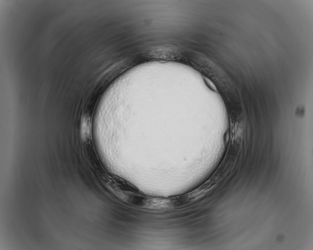 X0000097990095200804211116