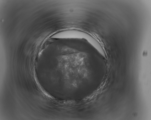 X0000097990097200804211115