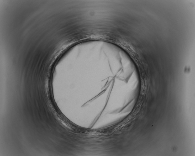 X0000097990098200804211115