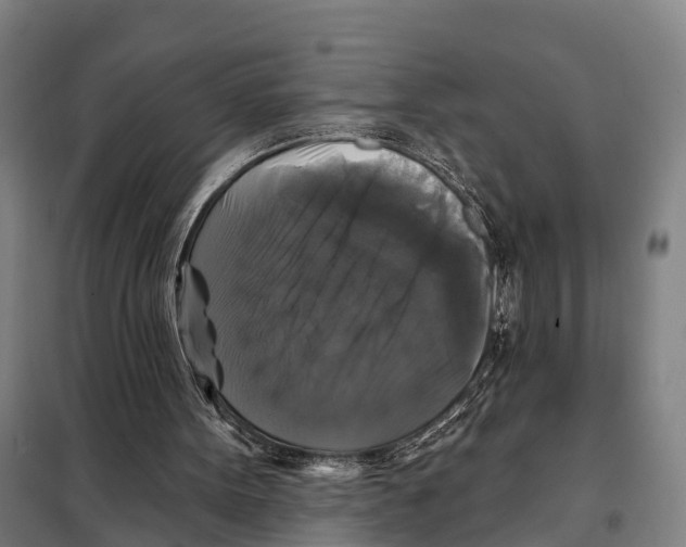 X0000097990099200804211115