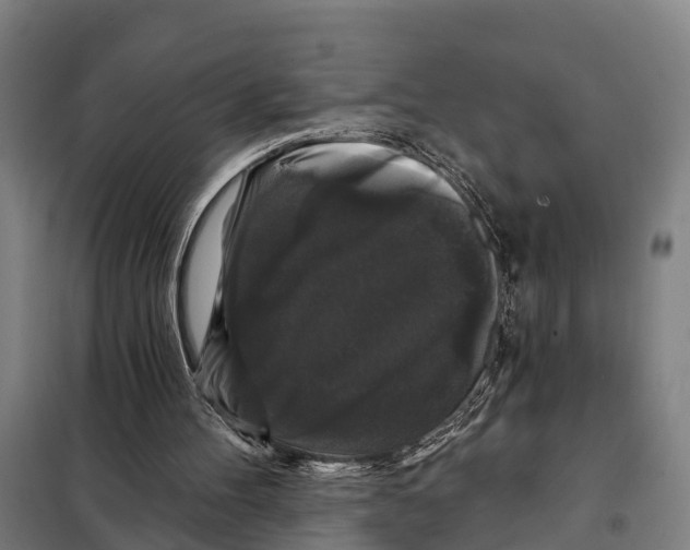 X0000097990100200804211115