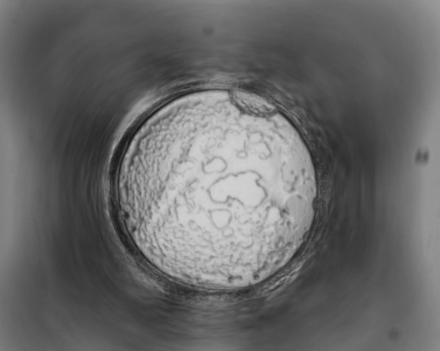 X0000097990102200804211115