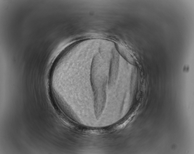 X0000097990103200804211115