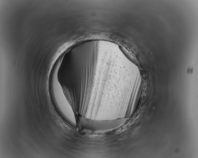 X0000097990104200804211115