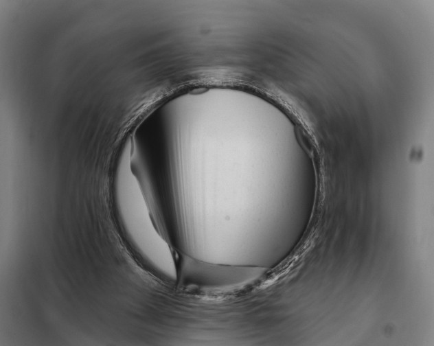 X0000097990105200804211115