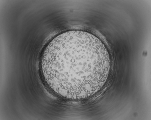 X0000097990106200804211115