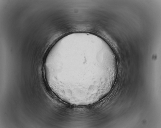 X0000097990107200804211115