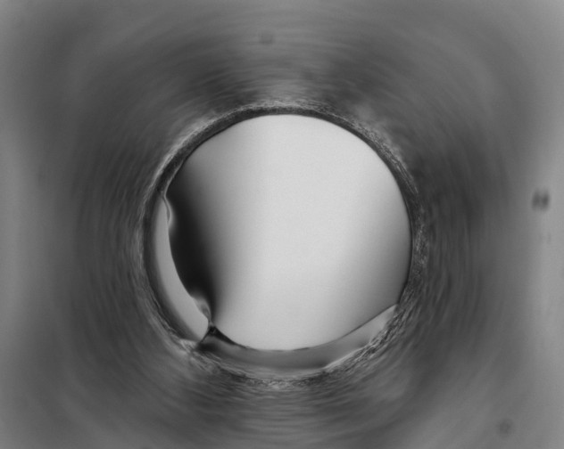 X0000097990108200804211115