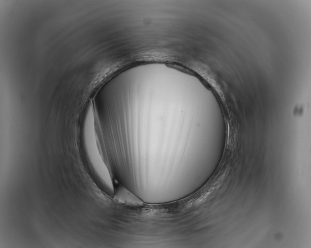 X0000097990109200804211115